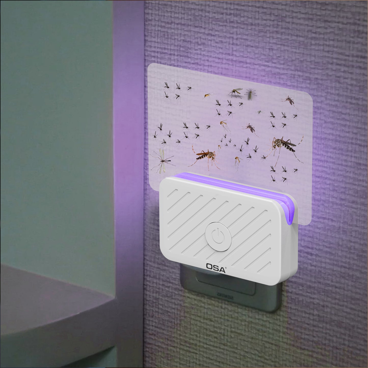 Fruit Fly Trap Indoor for Safer Home, Gnat Traps for House Indoor, Gnat Killer, Plug in Bug Catcher, Fly Trap, Insect Traps, Fruit Fly Killer